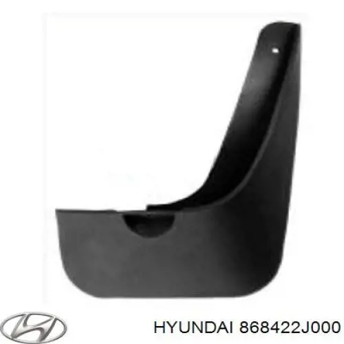 Купити 868422J000 Hyundai/Kia Бризковики задній, правий