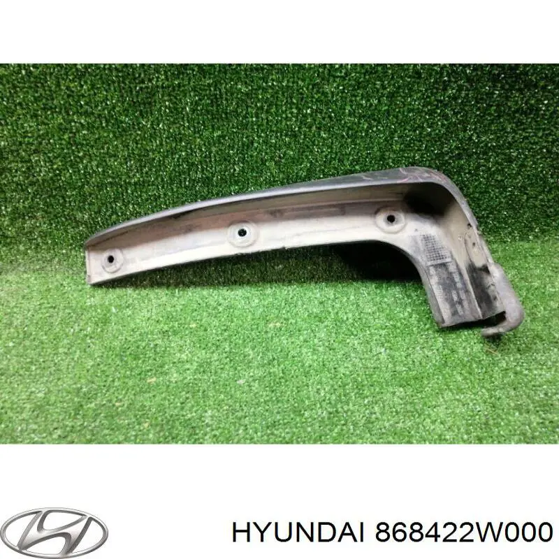 Бризковики задній, правий Hyundai/Kia 86842B8000 ціна, від 12.67 USD