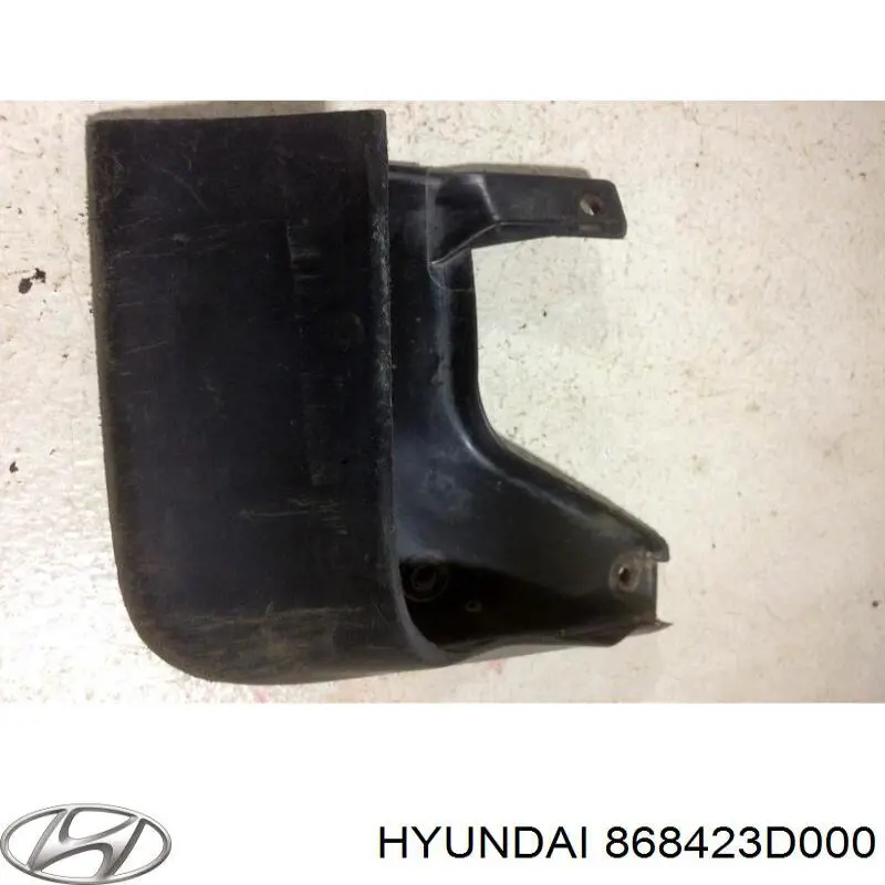 Бризковики задній, правий на Hyundai Sonata (EU4)