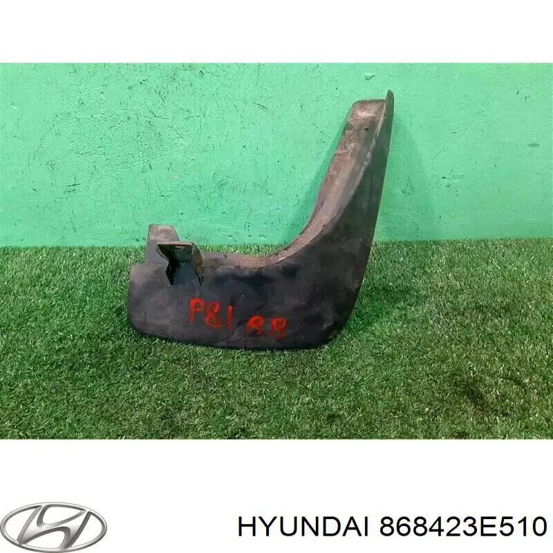 Бризковики задній, правий Hyundai/Kia 868423E510 ціна, від 19.27 USD