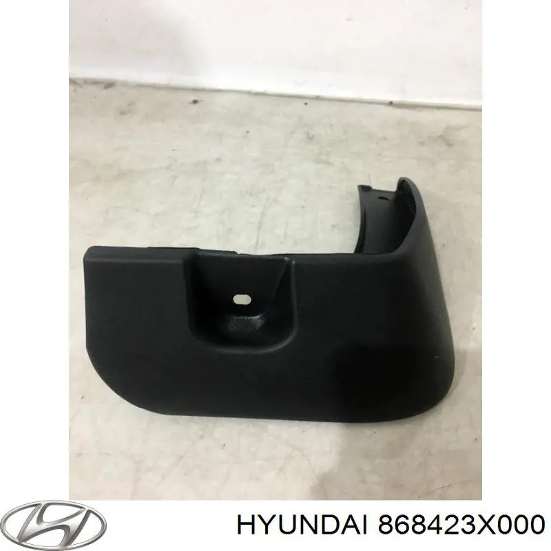 Купити 868423X000 Hyundai/Kia Бризковики задній, правий