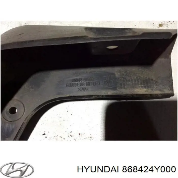 Бризковики задній, правий 868424Y000 Hyundai/Kia