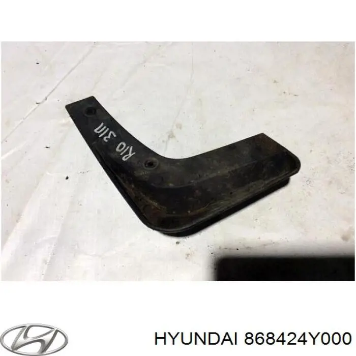 Купити 868424Y000 Hyundai/Kia Бризковики задній, правий