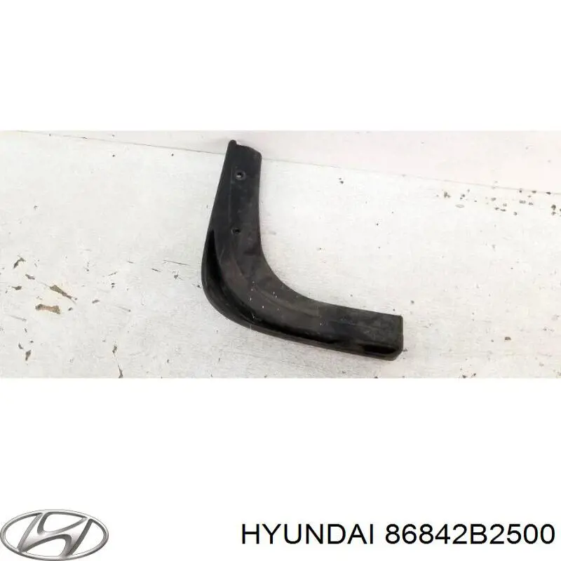 Бризковики задній, правий Hyundai/Kia 86842B2500 ціна, від 16.45 USD