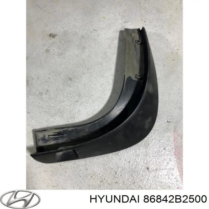 86842B2500 Hyundai/Kia Бризговик задній, правий