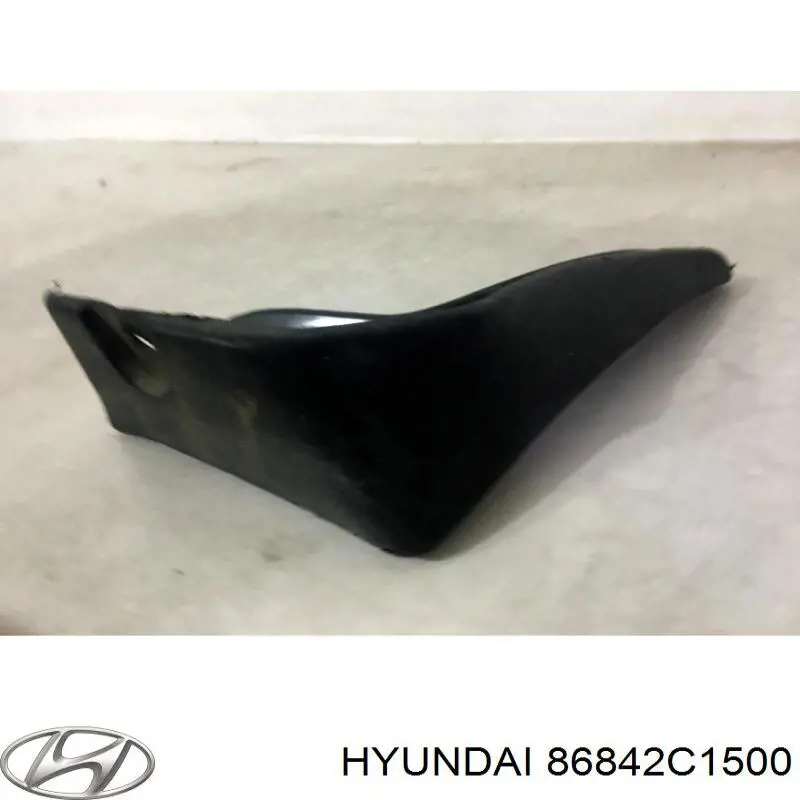 Купити 86842C1500 Hyundai/Kia Бризковики задній, правий