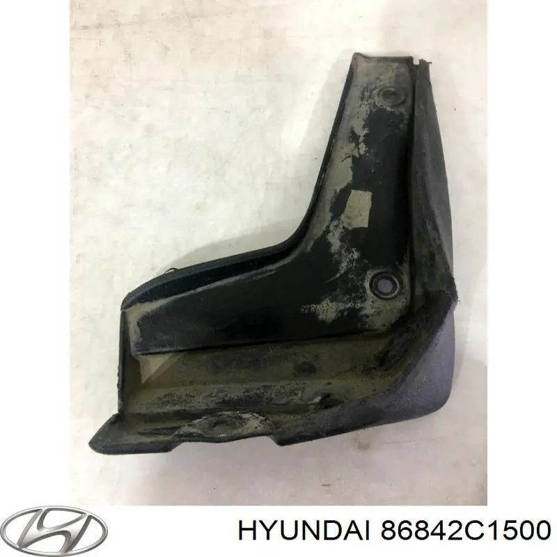 Бризковики задній, правий Hyundai/Kia 86842C1500 ціна, від 12.66 USD