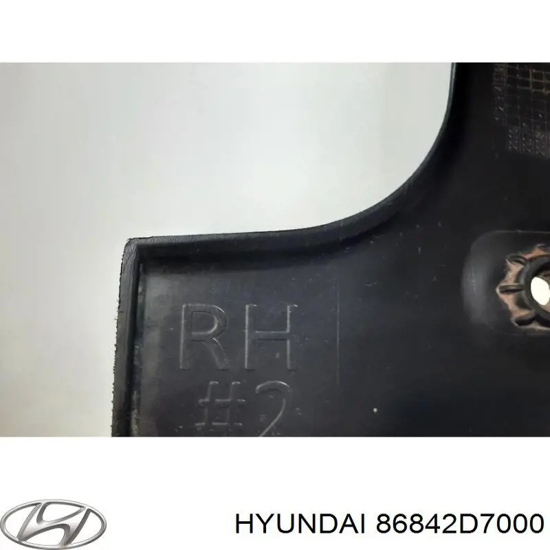 Бризковики задній, правий Hyundai/Kia 86842D7000 ціна, від 6.33 USD
