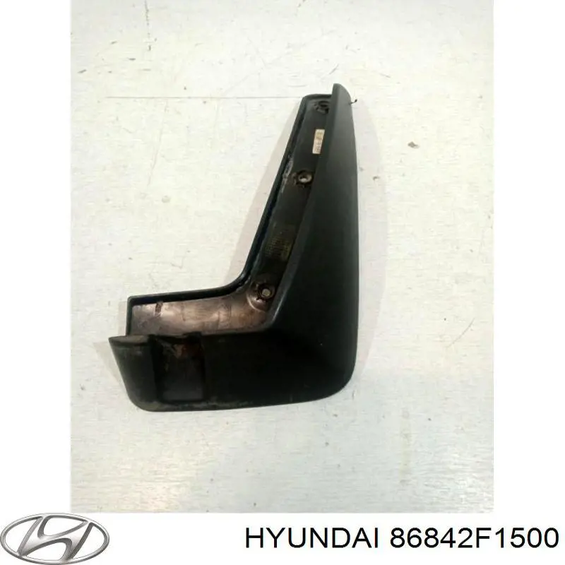 Бризковики задній, правий Hyundai/Kia 86842F1500 ціна, від 9.94 USD