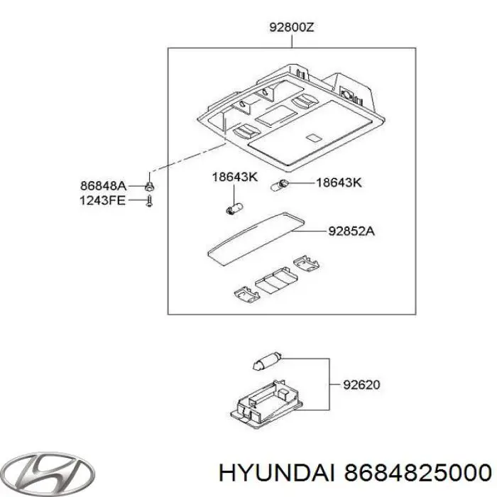 Пістон (кліп) кріплення підкрилки переднього крила Hyundai Sonata (EU4) (Хендай Соната)
