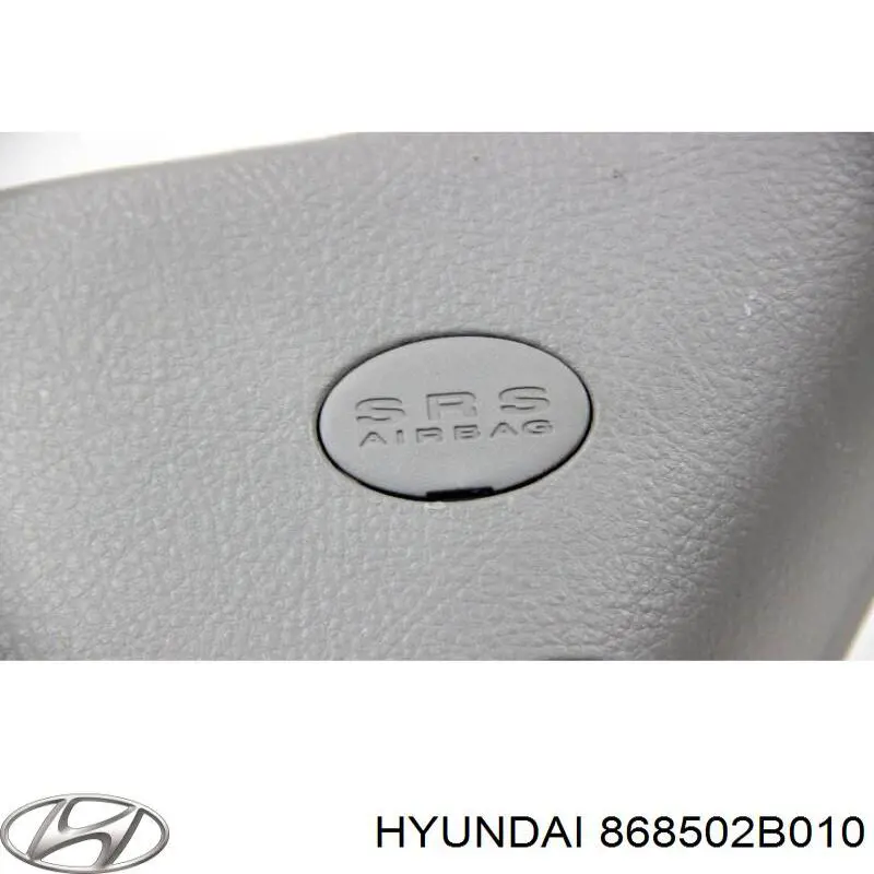 Бризговик передній, лівий Hyundai/Kia 868502B010 ціна, від 5.73 USD
