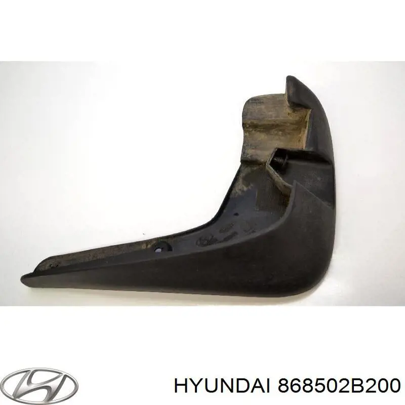 Бризковики передній, лівий Hyundai/Kia 868502B200 ціна, від 16.02 USD