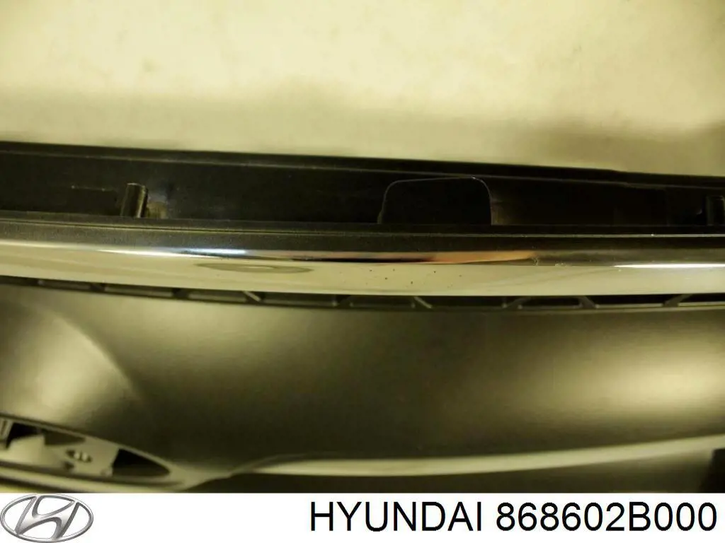 Бризковики передній, правий Hyundai/Kia 868602B000 ціна, від 11.16 USD