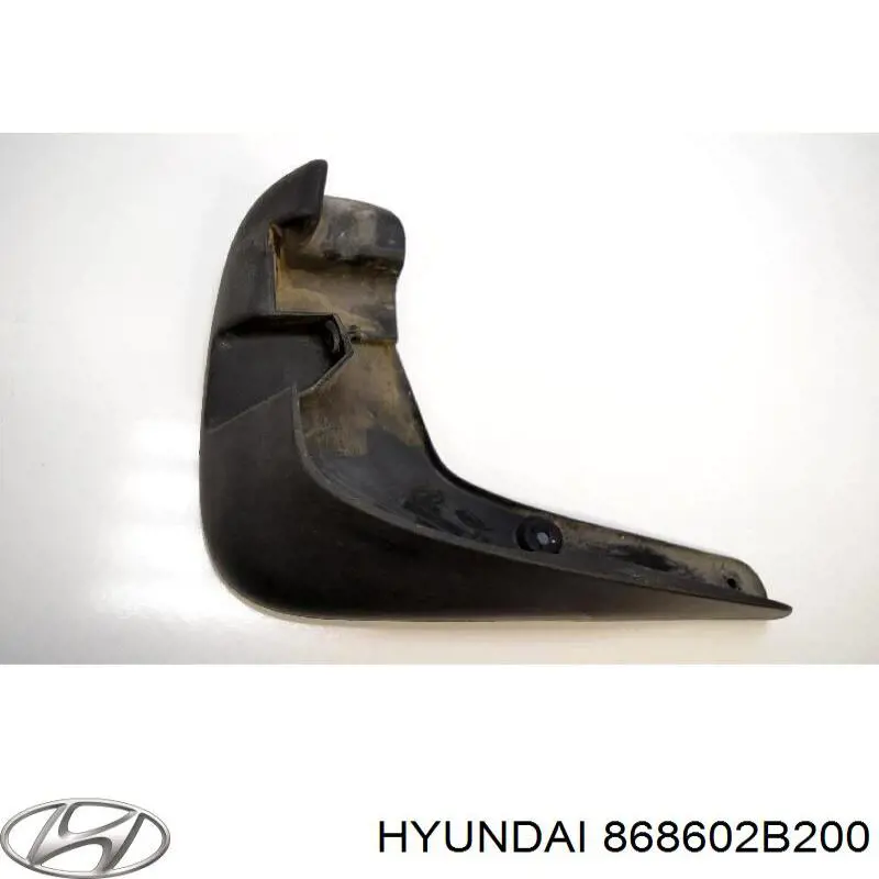 Купити 868602B200 Hyundai/Kia Бризковики передній, правий