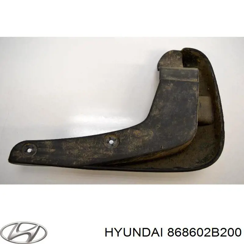 868602B200 Hyundai/Kia Бризковики передній, правий