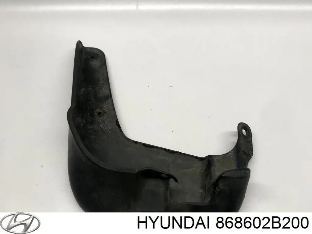 Бризковики передній, правий Hyundai/Kia 868602B200 ціна, від 9.68 USD