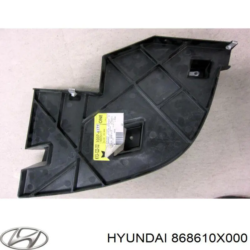 Бризковики задній, лівий Hyundai/Kia 868610X000 ціна, від 1.41 USD