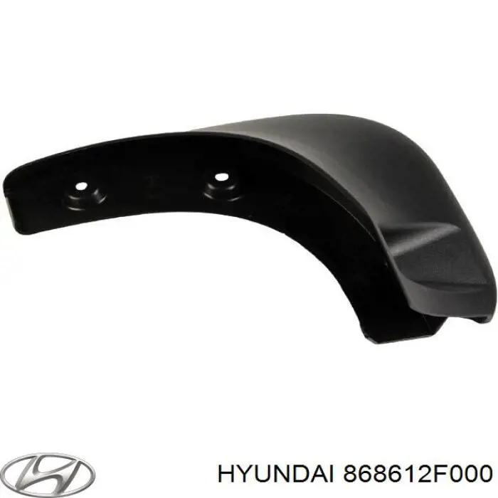 Бризковики задній, лівий Hyundai/Kia 868612F000 ціна, від 10.63 USD