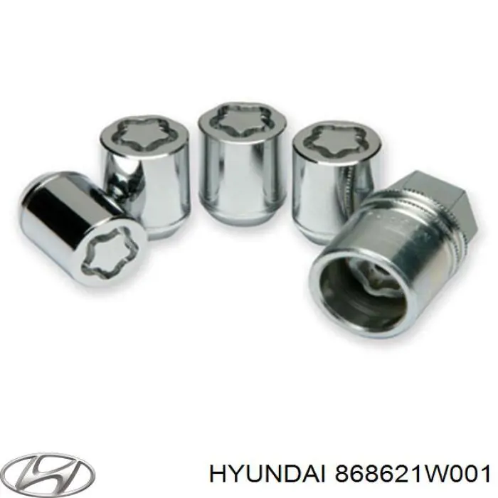 868621W001 Hyundai/Kia 