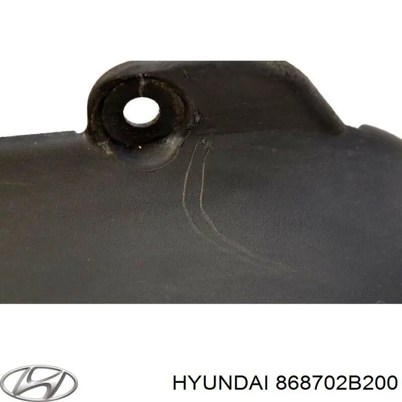 Купити 868702B200 Hyundai/Kia Бризковики задній, лівий