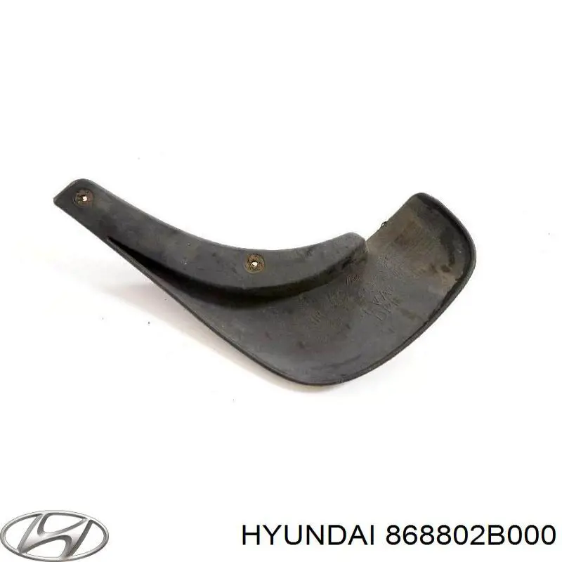 Купити 868802B000 Hyundai/Kia Бризковики задній, правий