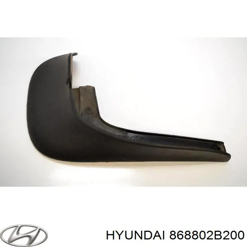868802B200 Hyundai/Kia Бризковики задній, правий