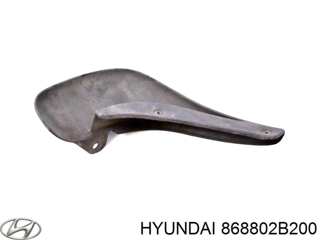 Купити 868802B200 Hyundai/Kia Бризковики задній, правий