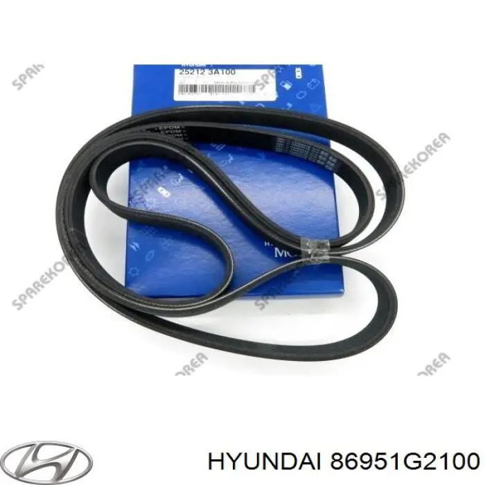 Купити 86951G2100 Hyundai/Kia 
