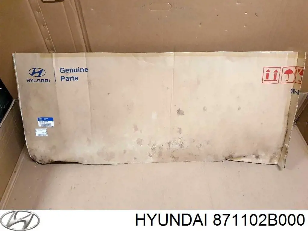 GS3216D21 XYG Скло ляди
