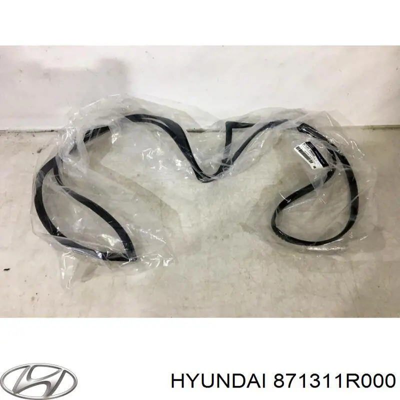 Молдинг заднього скла Hyundai/Kia 871311R000 ціна, від 33.89 USD