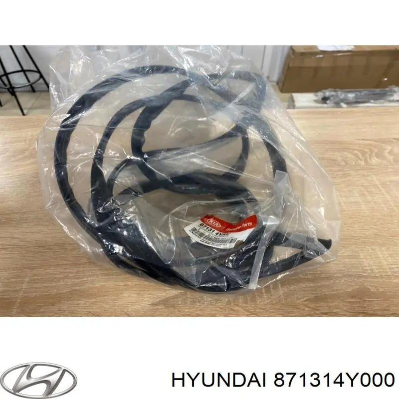 Молдинг заднього скла Hyundai/Kia 871314Y000 ціна, від 31.30 USD