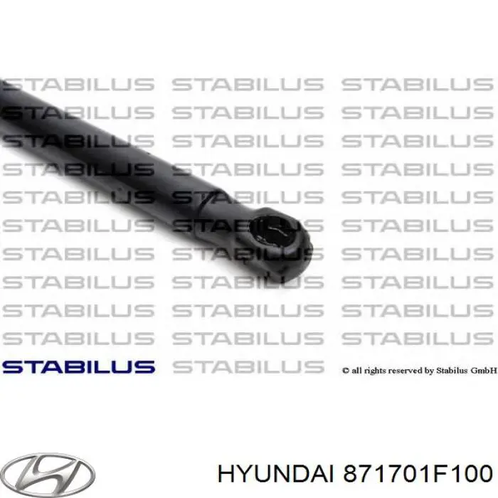 Амортизатор скла задніх, 3/5-ї двері (ляди) AG50068 Optimal