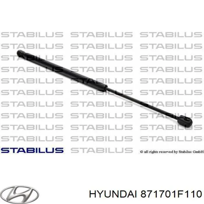 Купити 871701F110 Hyundai/Kia Амортизатор скла задніх, 3/5-ї двері (ляди)