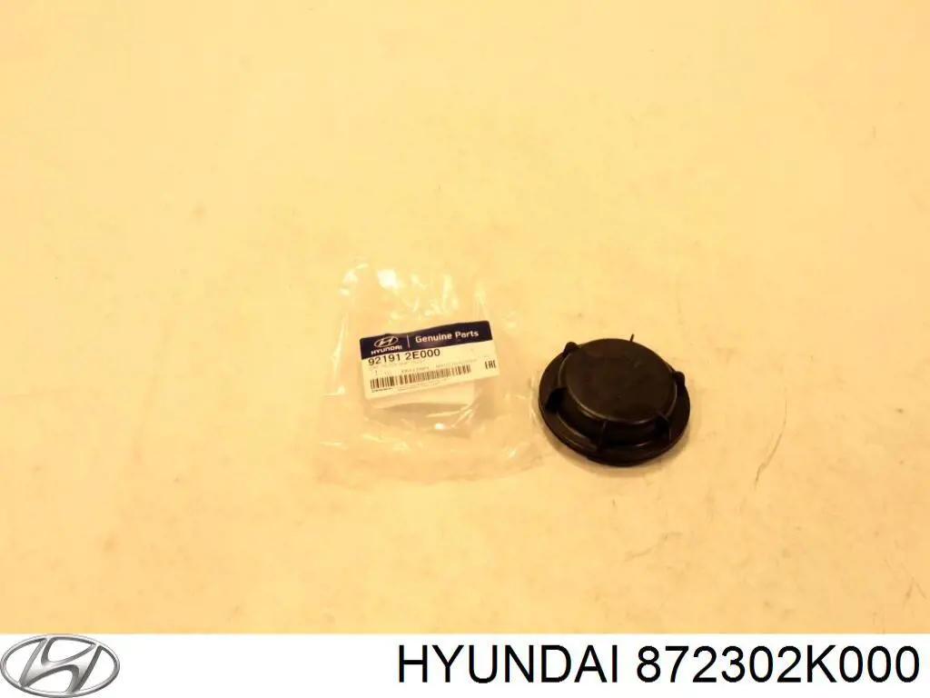 Молдинг даху, лівий Hyundai/Kia 872302K000 ціна, від 15.20 USD