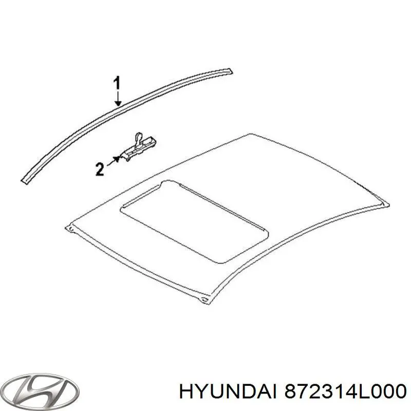872314L000 Hyundai/Kia Молдинг даху, лівий