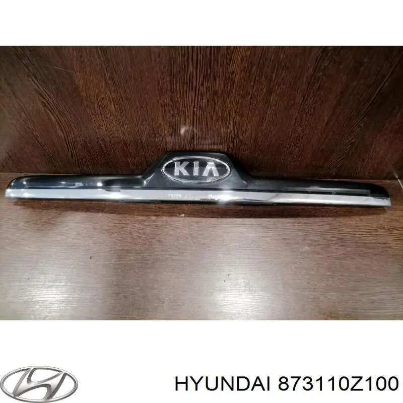 873110Z100 Hyundai/Kia 