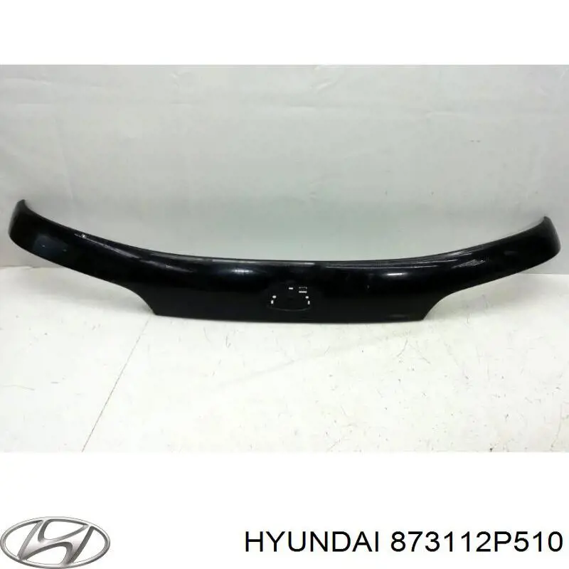 873112P510 Hyundai/Kia Треті двері