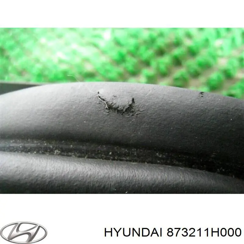 873211H000 Hyundai/Kia Ущільнювач задніх 3/5-й двері