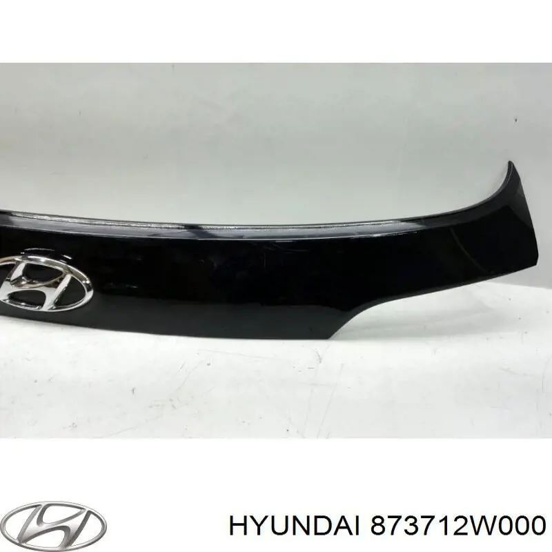 Накладка задньої 3-й/5-й двері Hyundai Santa Fe 3 (DM) (Хендай Санта фе)