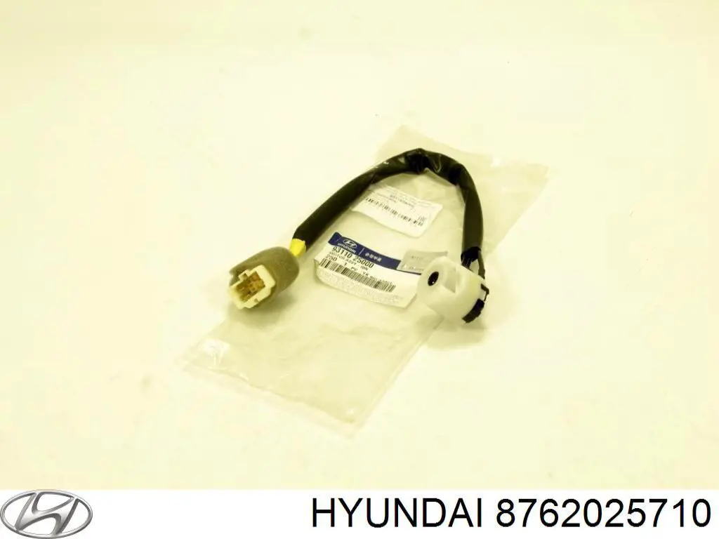 8762025710 Hyundai/Kia Праве дзеркало заднього виду