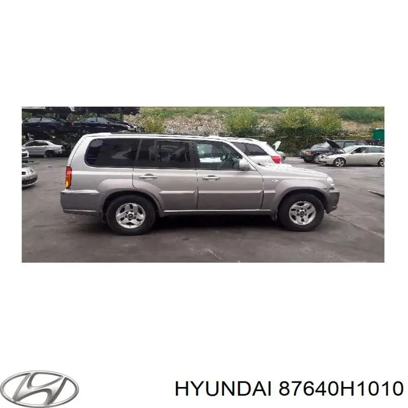 Праве бічне дзеркало Hyundai Terracan позашляховик (HP) (2001 - 2006) ціна, від 55.49 USD
