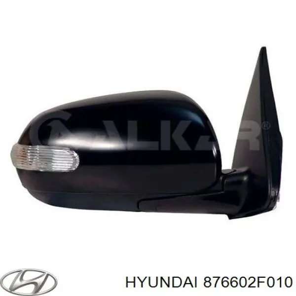 876602F010 Hyundai/Kia Праве дзеркало заднього виду