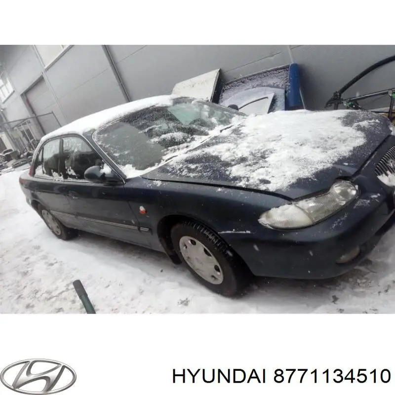 8771134510 Hyundai/Kia Молдинг переднього лівого крила