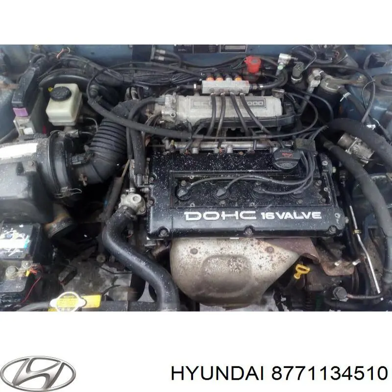 Молдинг переднього лівого крила Hyundai/Kia 8771134510 ціна, від 62.41 USD