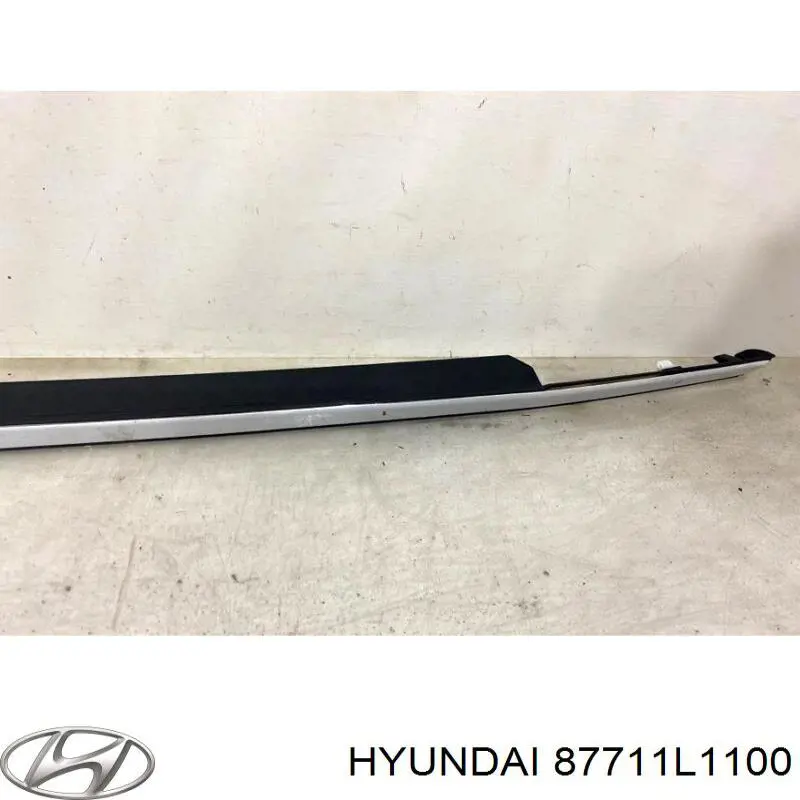 87711L1100 Hyundai/Kia Молдинг переднього лівого крила