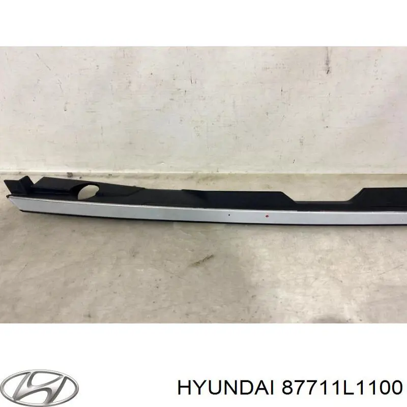 Молдинг переднього лівого крила Hyundai/Kia 87711L1100 ціна, від 92.47 USD