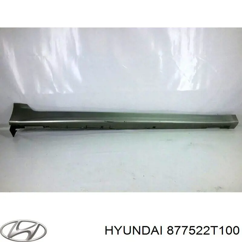 877522T100 Hyundai/Kia накладка зовнішня (молдинг порога, правий)