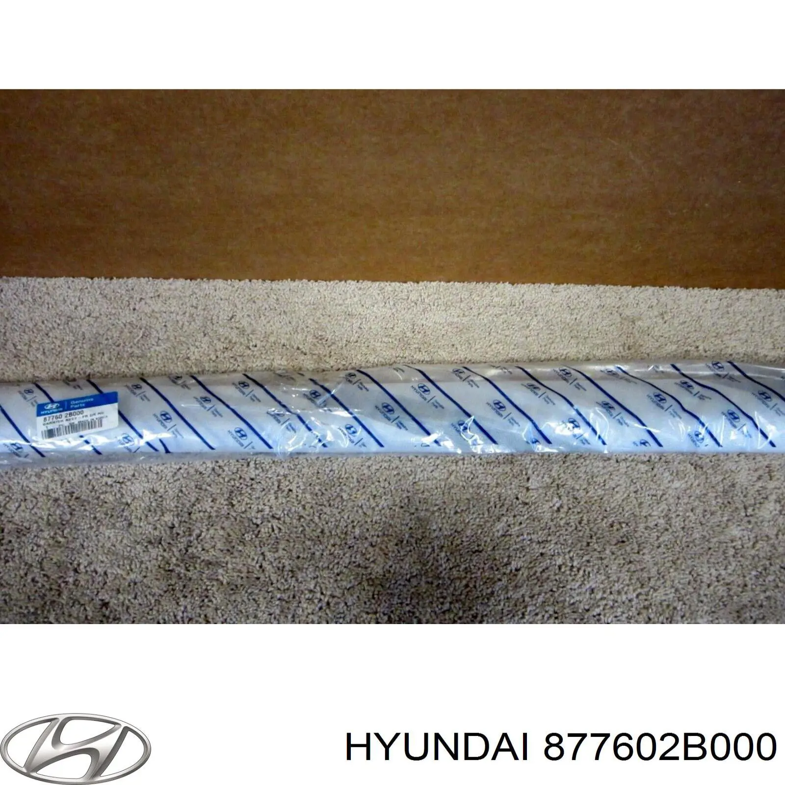 877602B000 Hyundai/Kia молдинг передньої правої двері