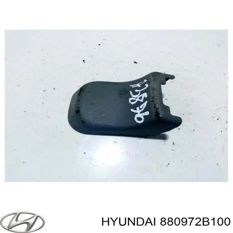 880972B100 Hyundai/Kia 