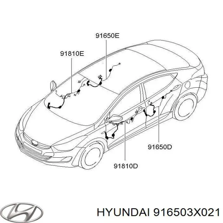  916503X021 Hyundai/Kia